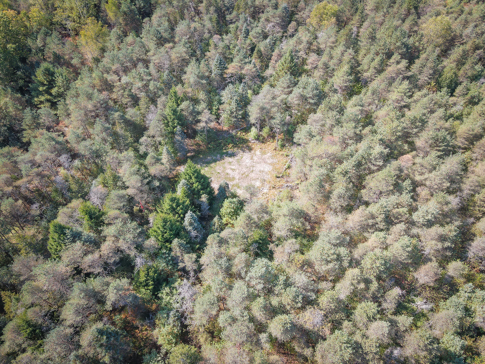 2969 East Loop Road Hesperia, MI 49421 - Photo 48 of 51 DJI_0644