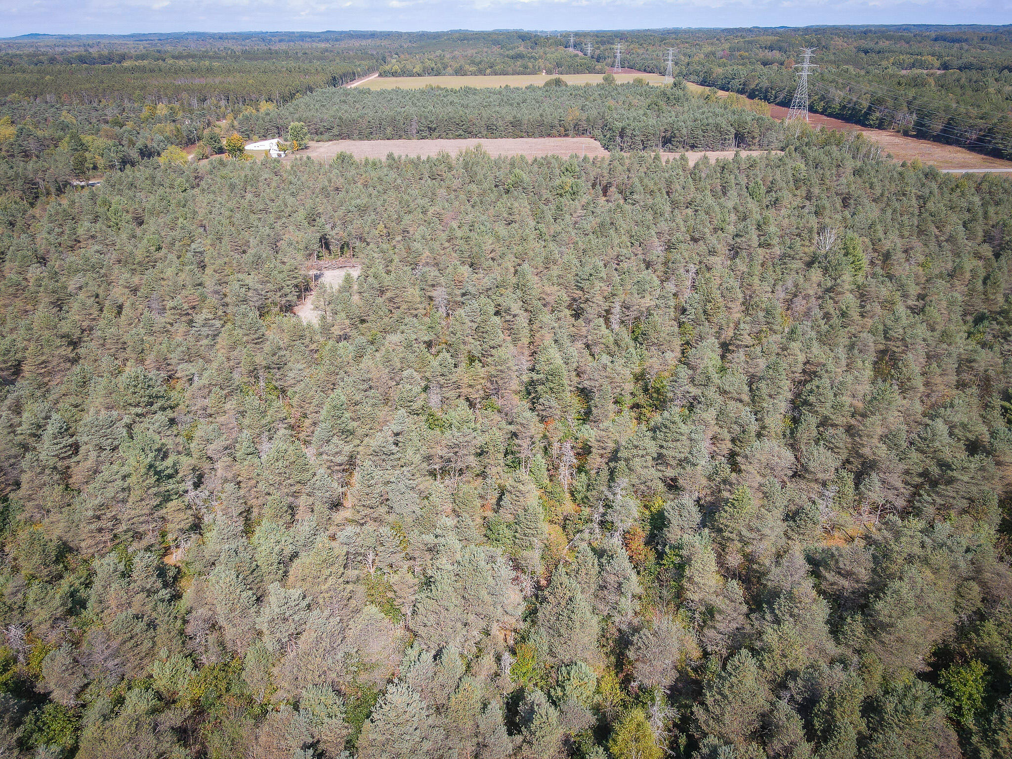 2969 East Loop Road Hesperia, MI 49421 - Photo 49 of 51 DJI_0645