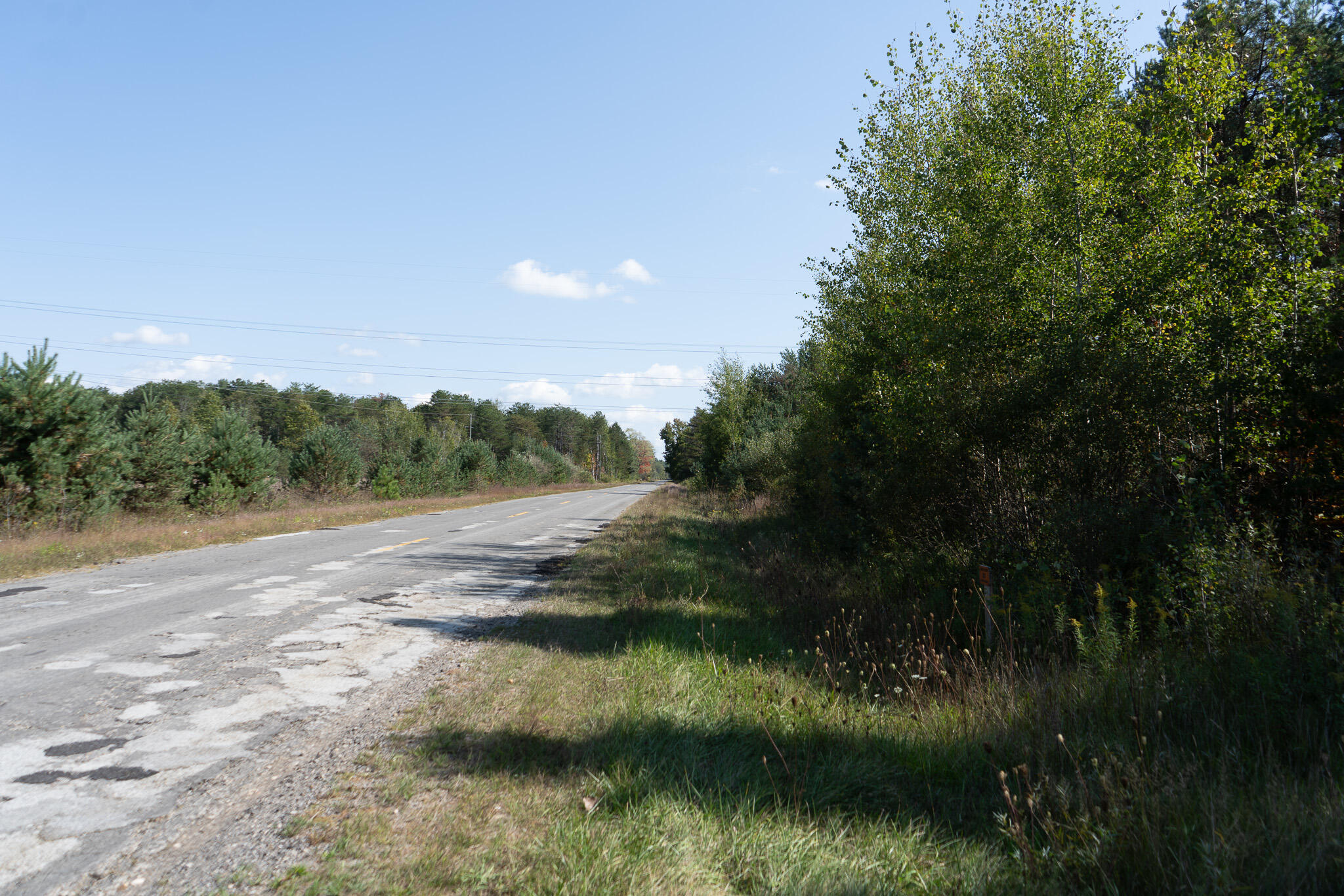 2969 East Loop Road Hesperia, MI 49421 - Photo 8 of 51 DSC07236
