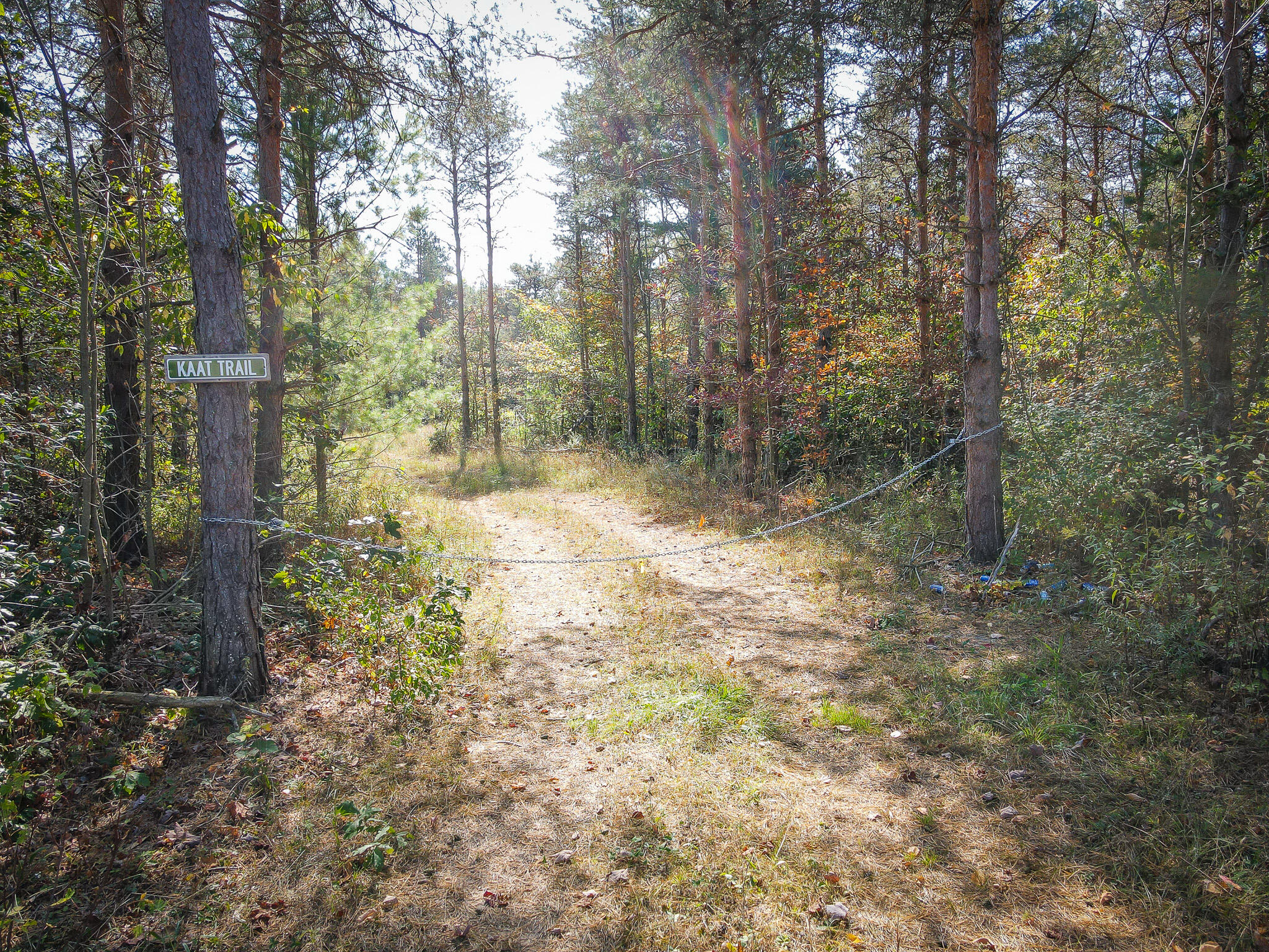 2969 East Loop Road Hesperia, MI 49421 - Photo 10 of 51 DJI_0624