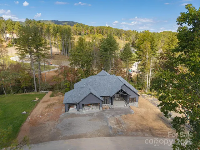 a living room with furniture a chandelier and a fireplace