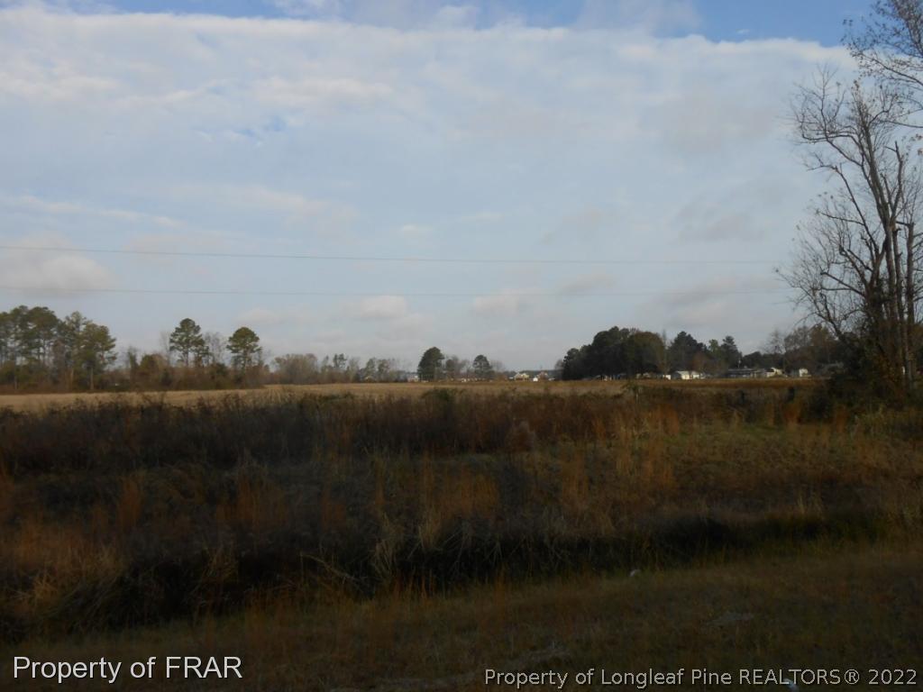 2947 Hilly Branch Road Lumberton, NC 28360 - Photo 3 of 11 Gallery Image 3