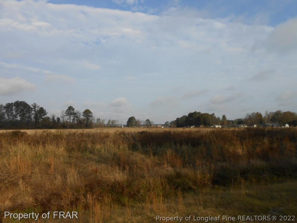 2947 Hilly Branch Road Lumberton, NC 28360 - Photo 4 of 11 Gallery Image 4