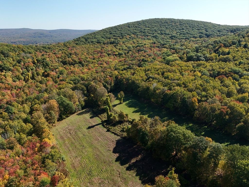 Lot D Lot D South Road Hampden, MA 01036 - Photo 2 of 22