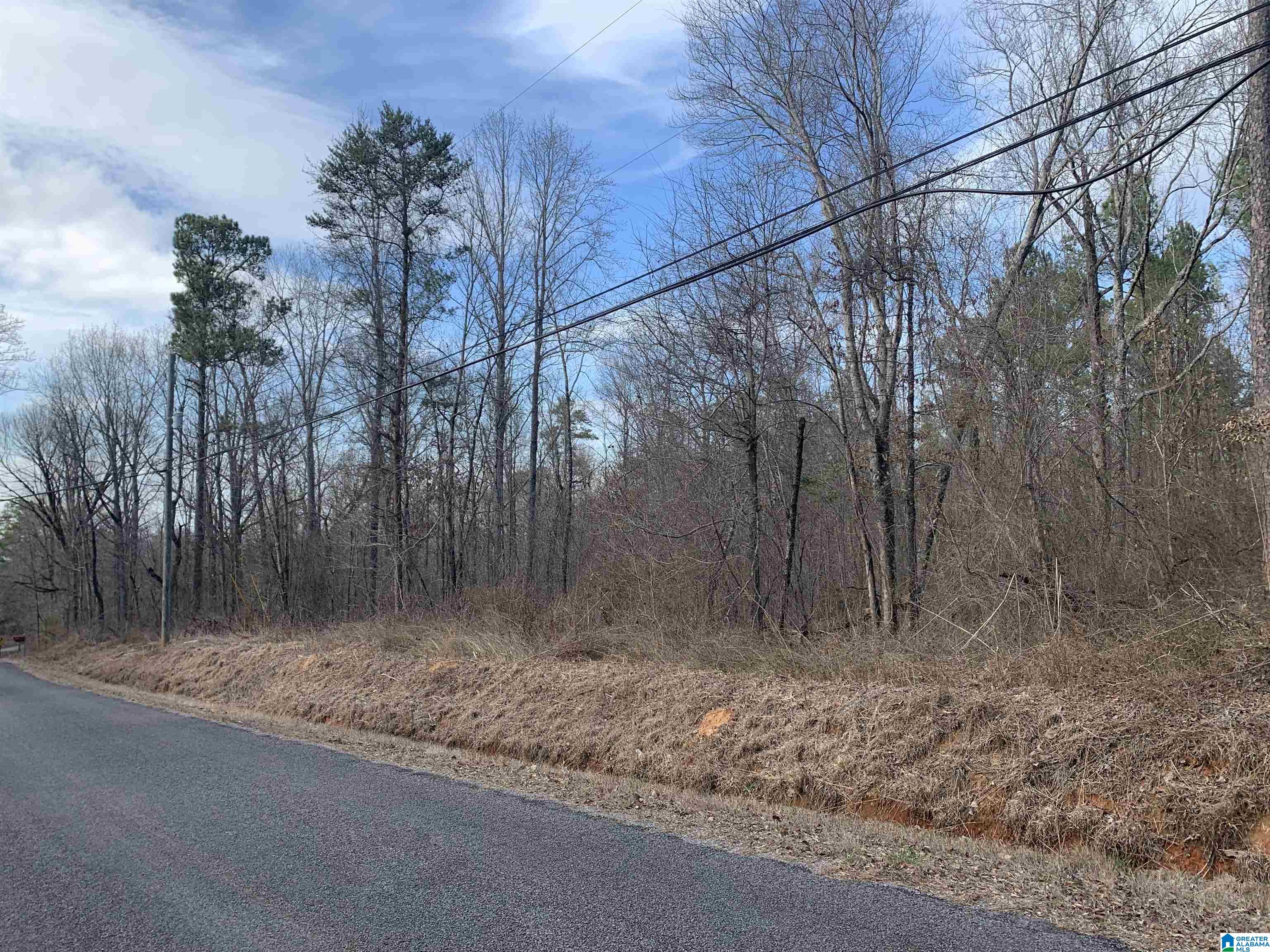 Red Hill Hayden, AL 35079 - Photo 2 of 3 Gallery Image 2