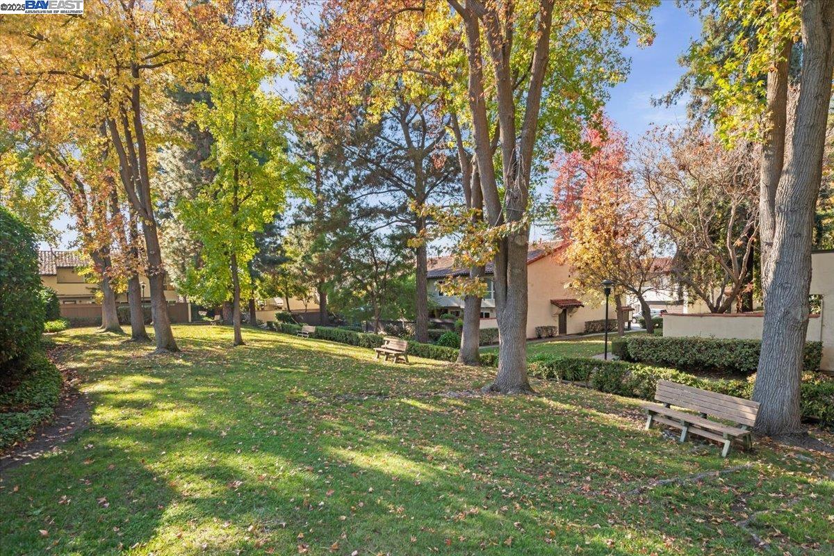 2253 Kalenda Common Fremont, CA 94539 - Photo 34 of 38 a backyard of a house with lots of green space and fountain