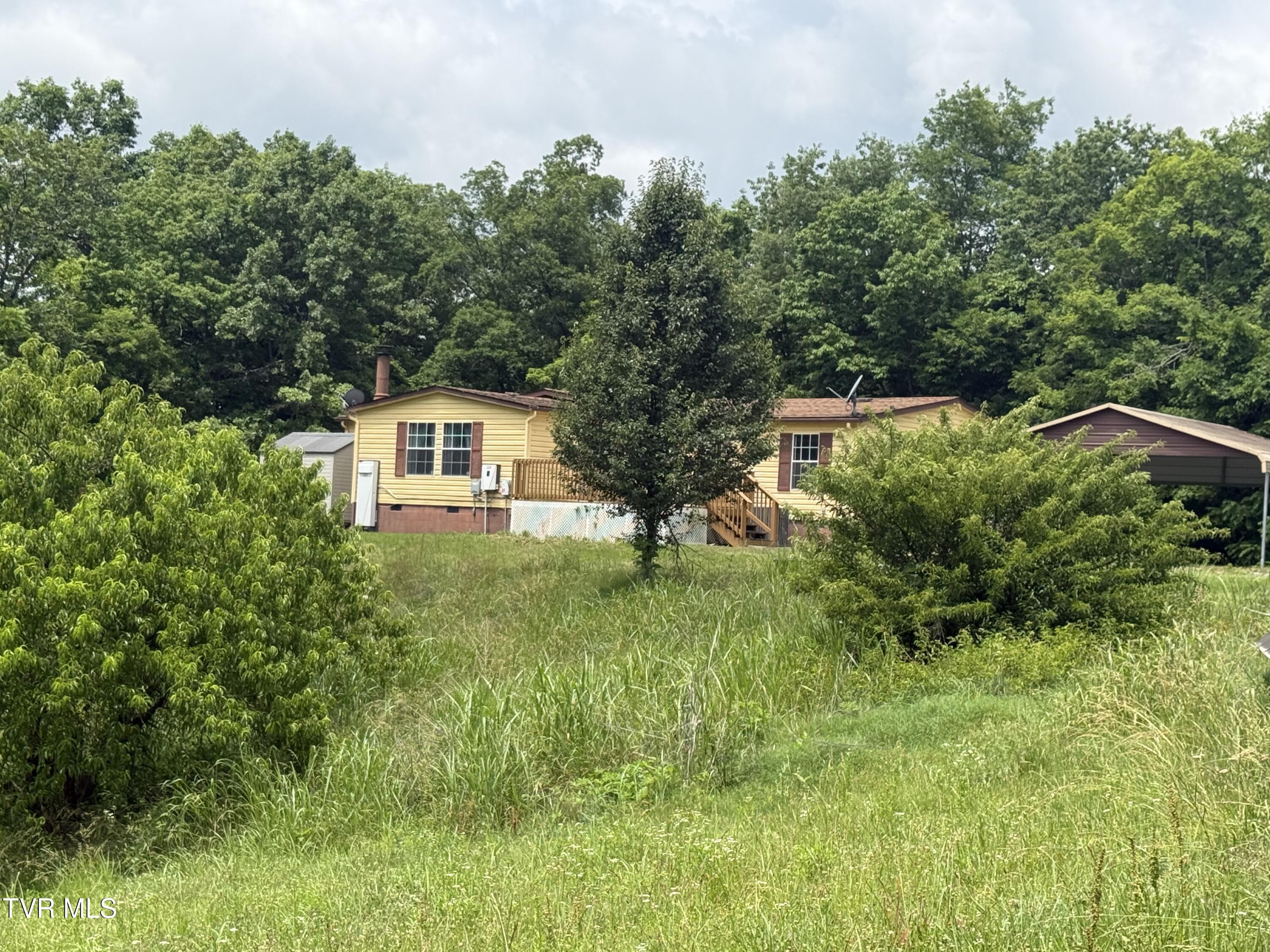2233 Sinking Creek Road Parrottsville, TN 37843 - Photo 14 of 48 IMG_1919