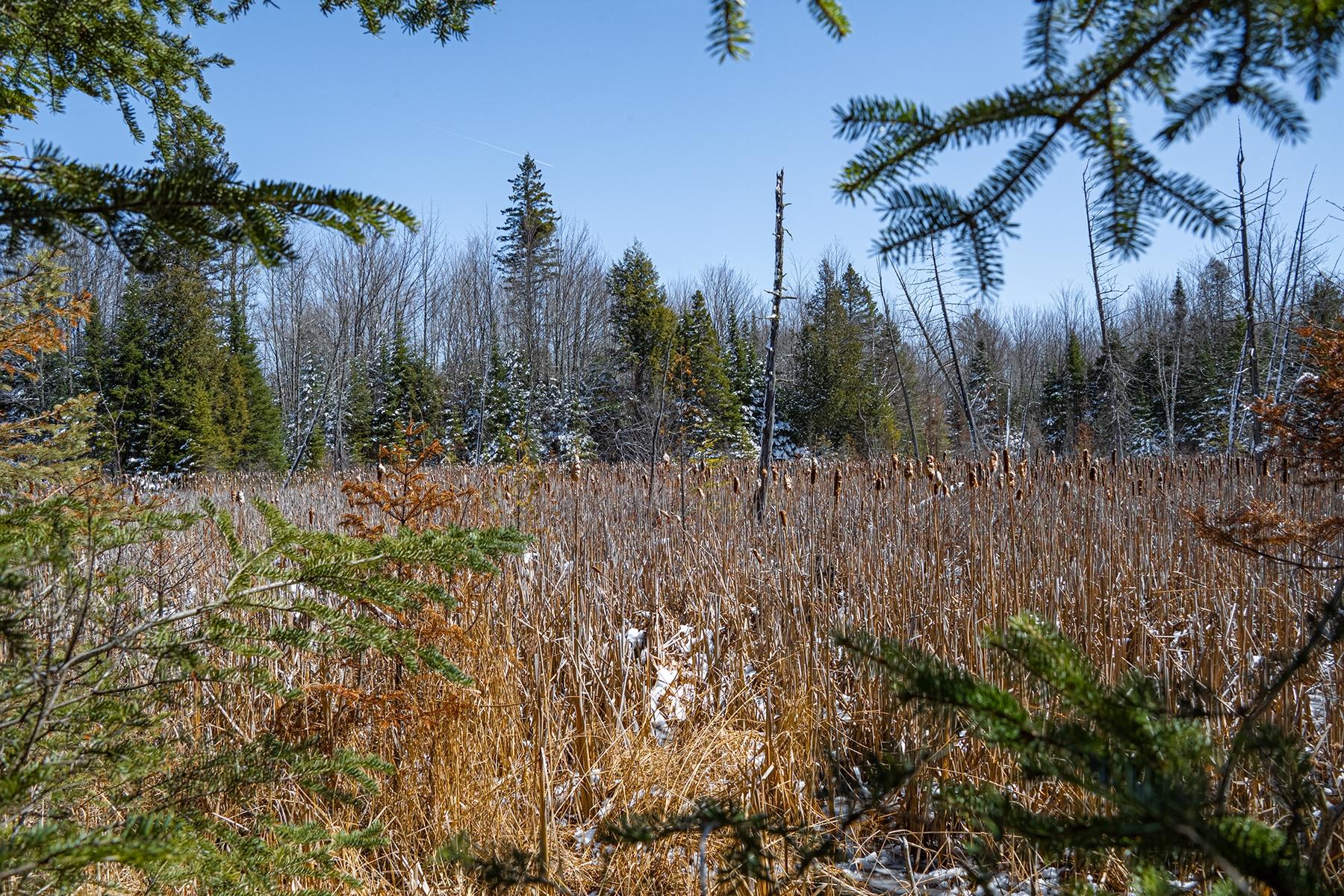 160-acre Pleasant Lake Road Hurley, WI 54534 - Photo 26 of 41 Gallery Image 26