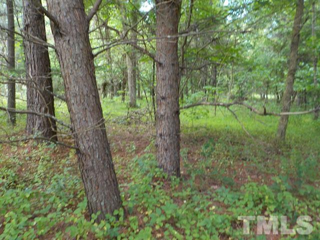 581 George Sherman Road Rougemont, NC 27572 - Photo 1 of 10