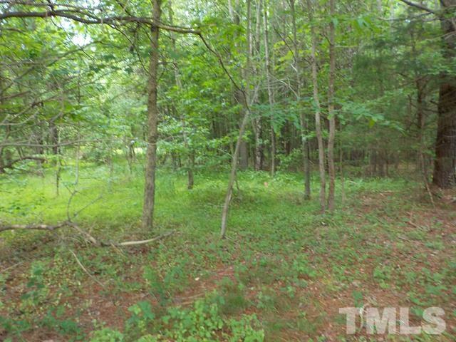 581 George Sherman Road Rougemont, NC 27572 - Photo 5 of 10