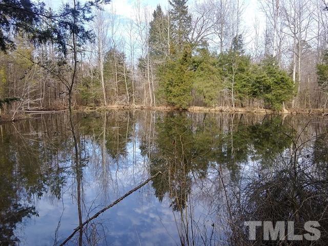 581 George Sherman Road Rougemont, NC 27572 - Photo 6 of 10