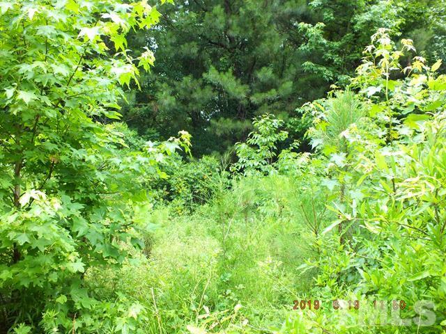 581 George Sherman Road Rougemont, NC 27572 - Photo 8 of 10