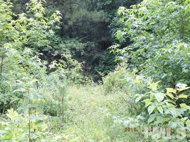 581 George Sherman Road Rougemont, NC 27572 - Photo 9 of 10