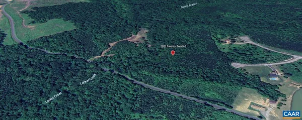 a close up of a lush green space