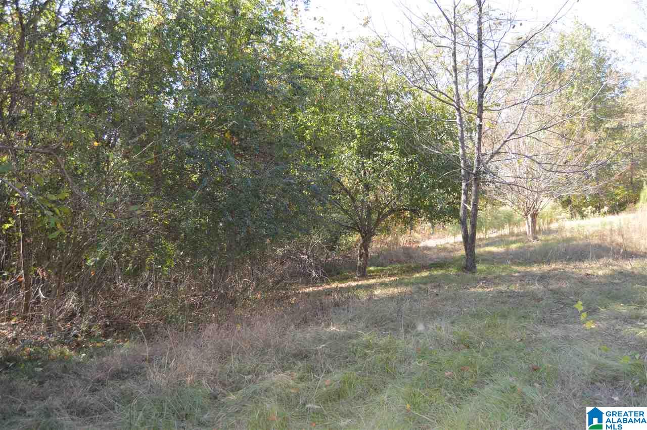 4094 McClendon Chapel Road Bessemer, AL 35022 - Photo 5 of 6