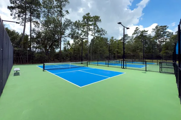 $2,695 | 151 East Greenhill Terrace Place, The Woodlands, TX 77382
