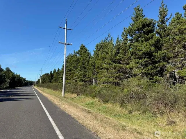 a view of a yard with potted plants