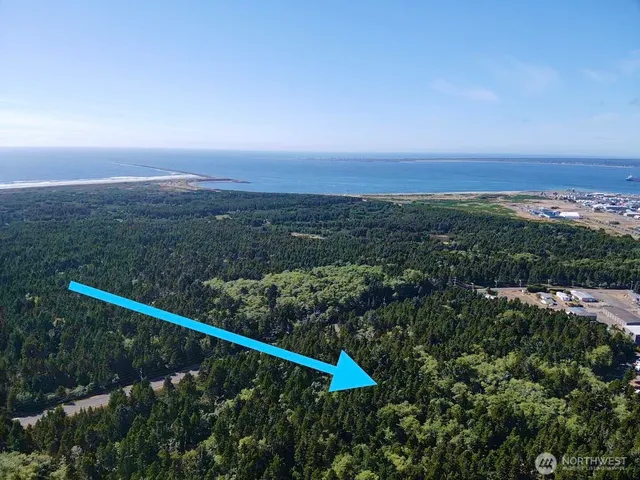 a view of a city with lush green forest