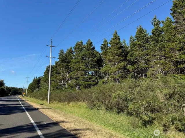 a view of a yard with plants