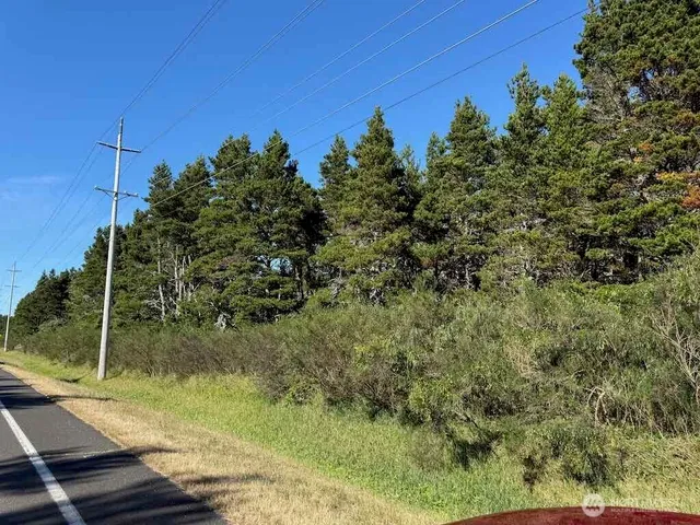 a view of a city with lush green forest