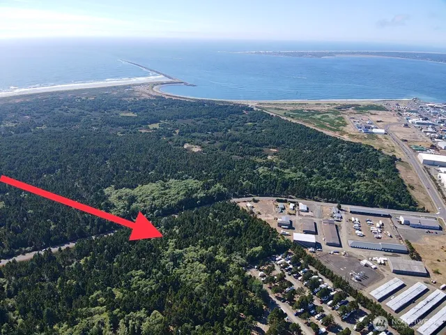 a view of a city with lush green forest
