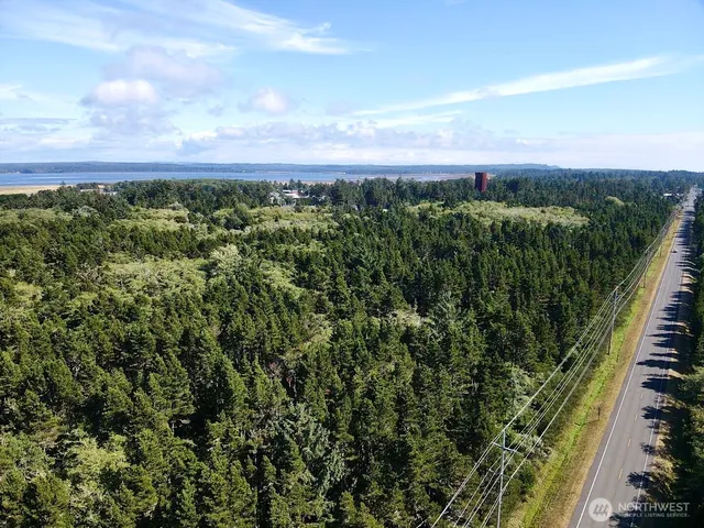 a view of a city with lush green forest