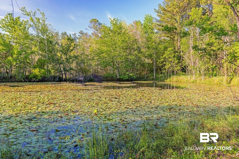 11100 Kali Oka Road Eight Mile, AL 36613 - Photo 41 of 49