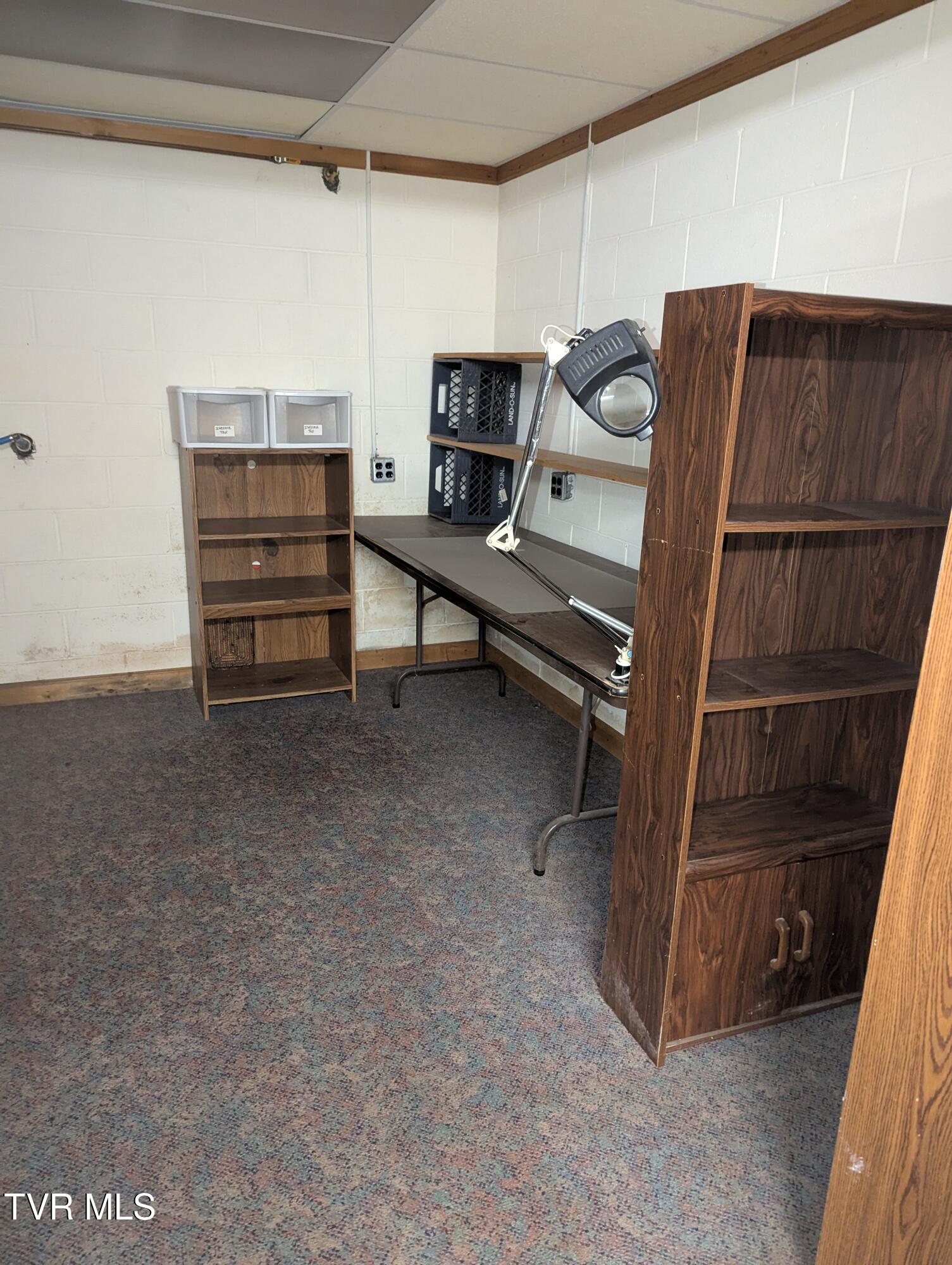 1473 Oasis Road Bulls Gap, TN 37711 - Photo 110 of 143 Basement office