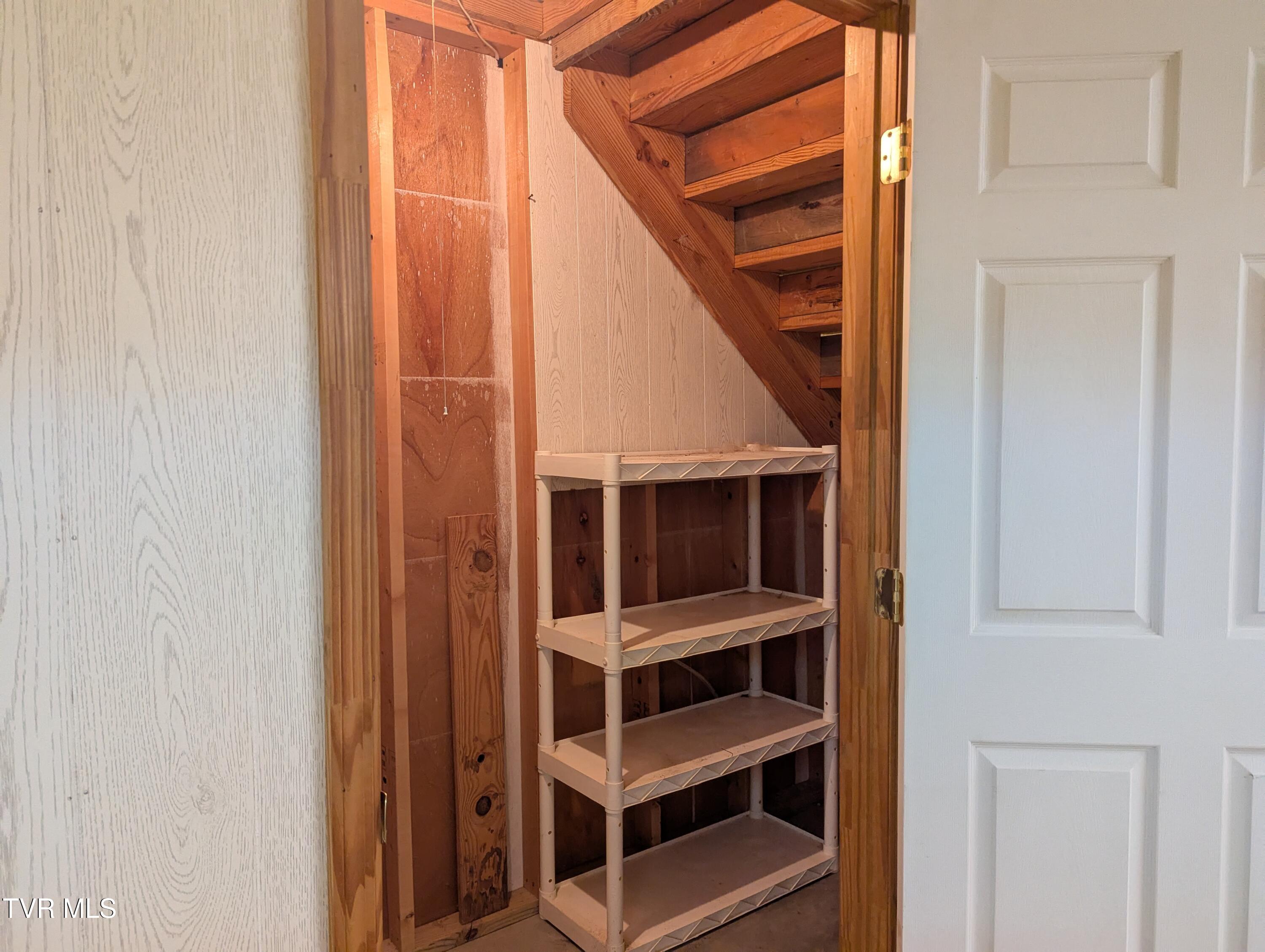 1473 Oasis Road Bulls Gap, TN 37711 - Photo 114 of 143 Basement storage