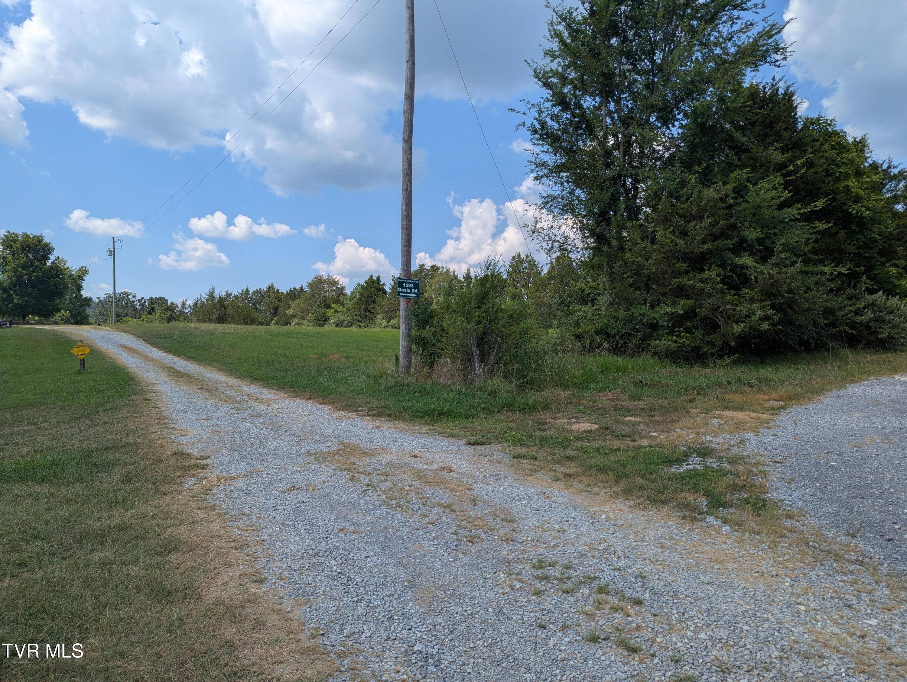 1473 Oasis Road Bulls Gap, TN 37711 - Photo 12 of 143 Shared drive splits