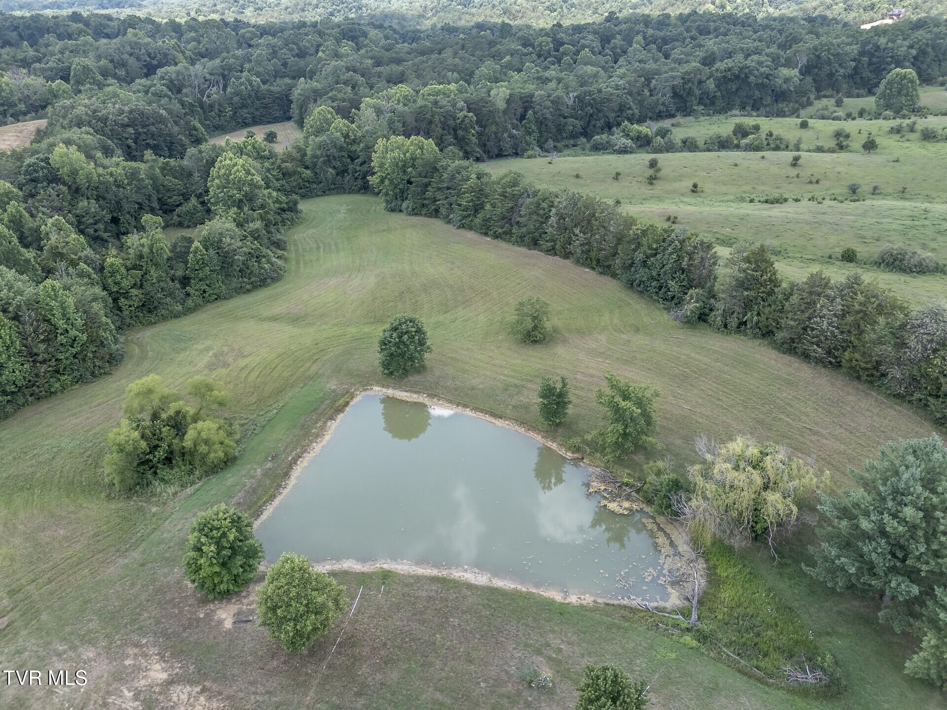 1473 Oasis Road Bulls Gap, TN 37711 - Photo 132 of 143 thumbnail_BG 070825_001
