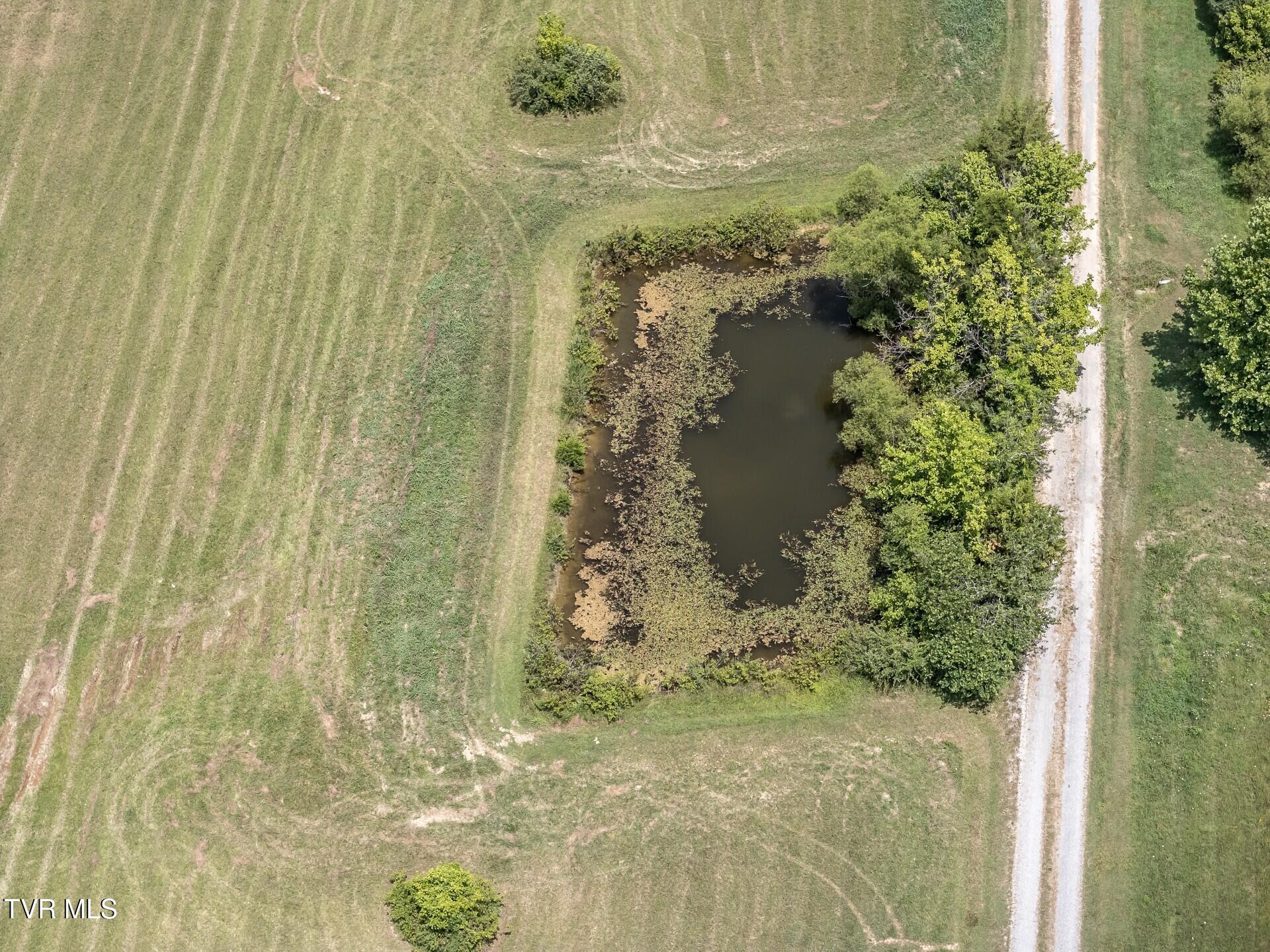 1473 Oasis Road Bulls Gap, TN 37711 - Photo 136 of 143 thumbnail_BG 070825_011
