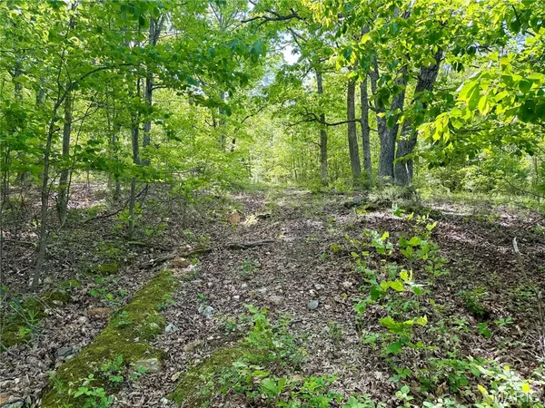 $29,900 | 0 Pratt Road, Cadet, MO 63630