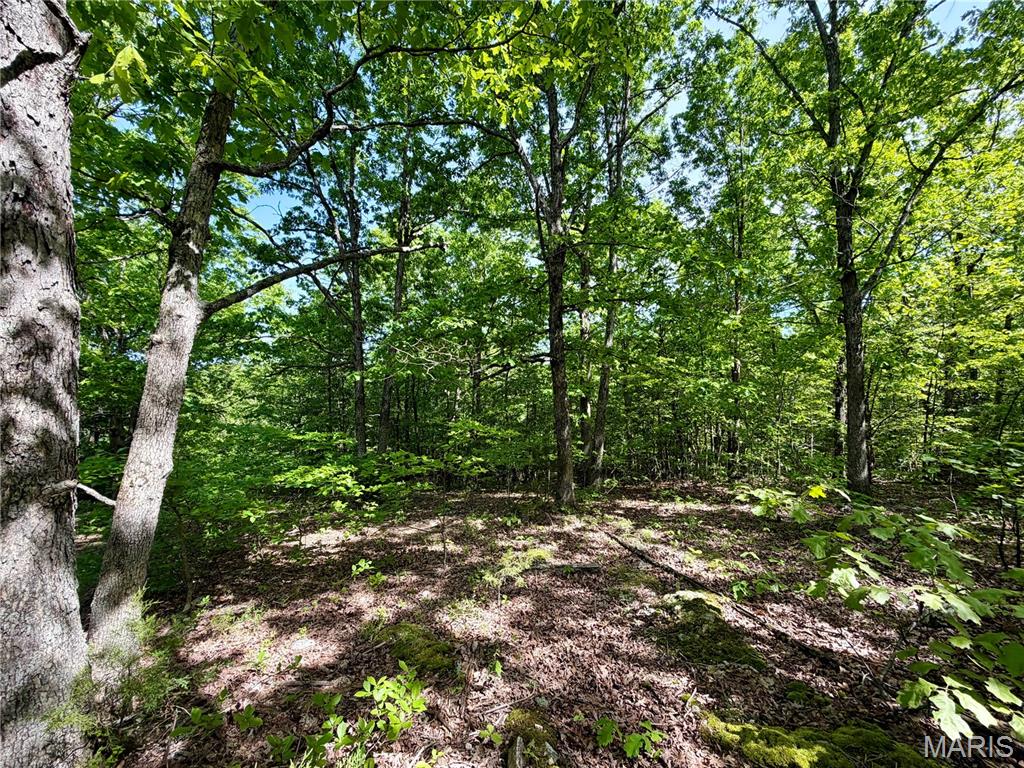 0 Pratt Road Cadet, MO 63630 - Photo 2 of 7