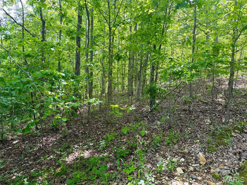 0 Pratt Road Cadet, MO 63630 - Photo 3 of 7