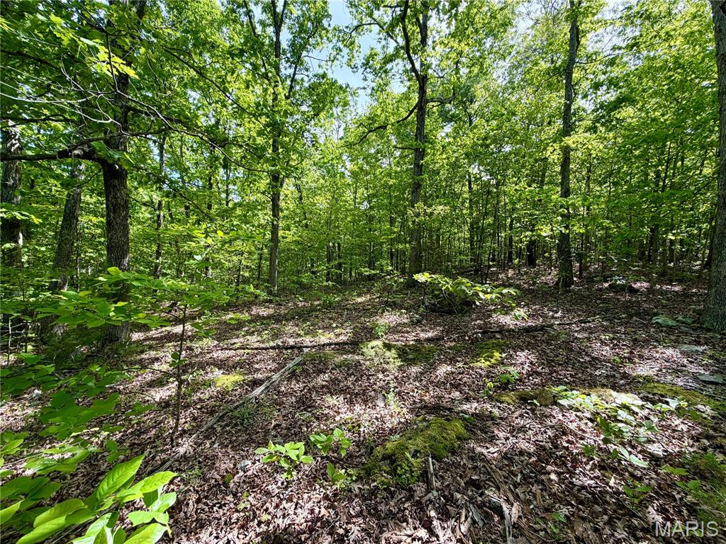 0 Pratt Road Cadet, MO 63630 - Photo 5 of 7