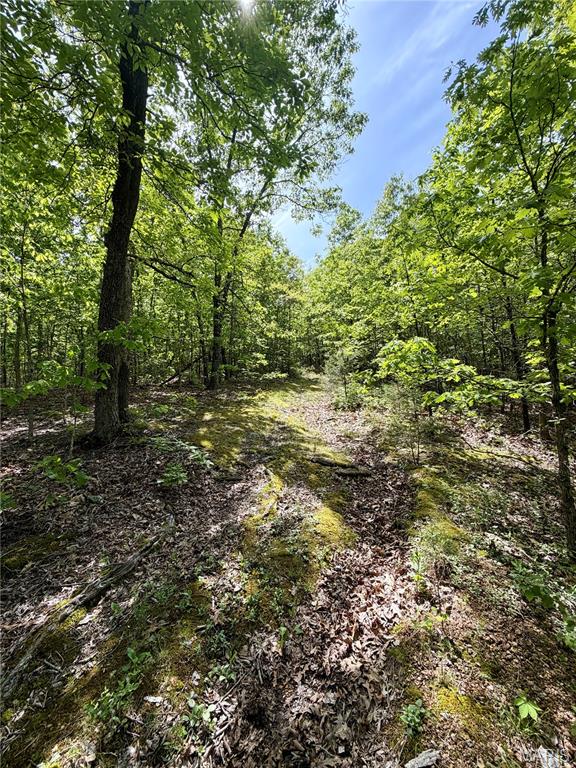 0 Pratt Road Cadet, MO 63630 - Photo 6 of 7