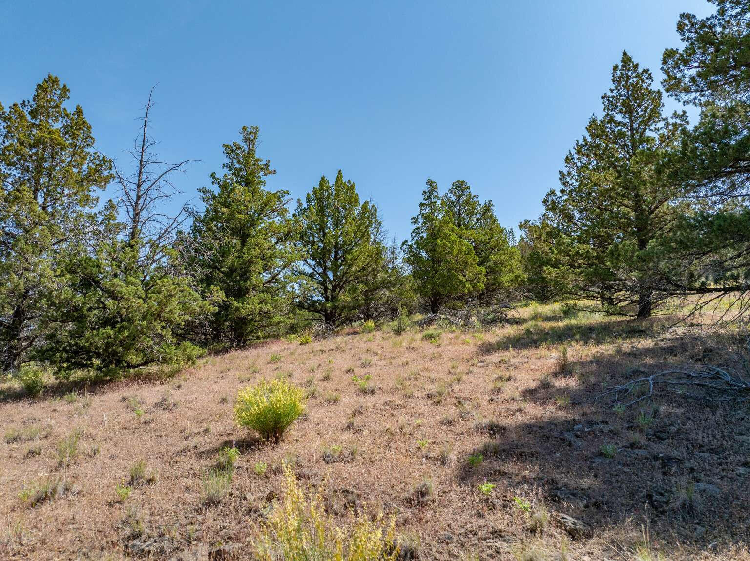 1167 Grande Road Alturas, CA 96101 - Photo 6 of 19 Dingman.6
