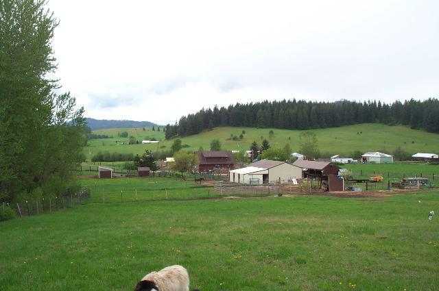 4690 Ranch Road Deer Park, WA 99006 - Photo 7 of 9