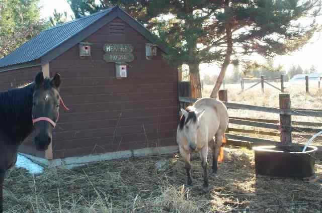 4690 Ranch Road Deer Park, WA 99006 - Photo 9 of 9