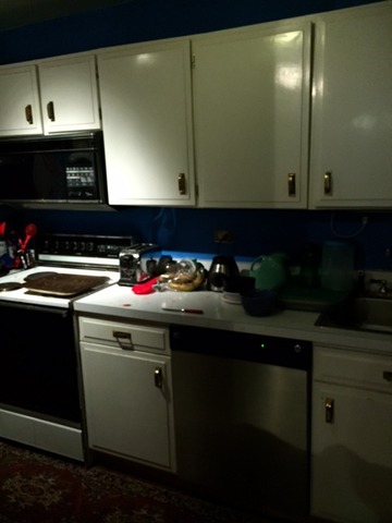 5455 North Sheridan Road, Unit 3510 Chicago, IL 60640 - Photo 3 of 6