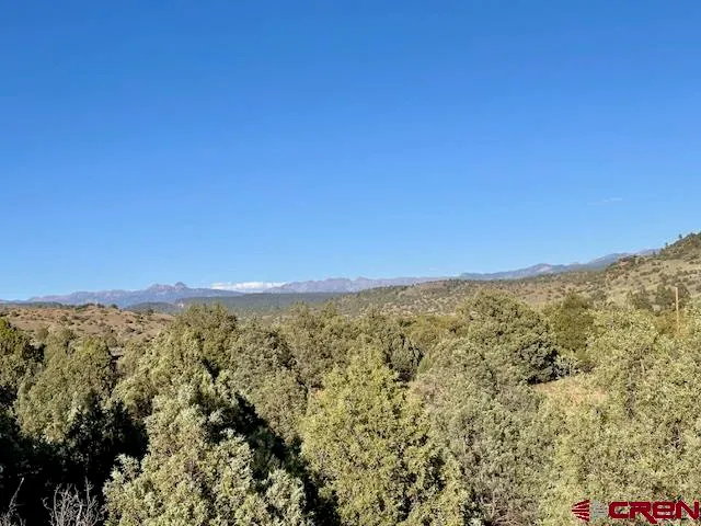 a body of water with a tree in the background