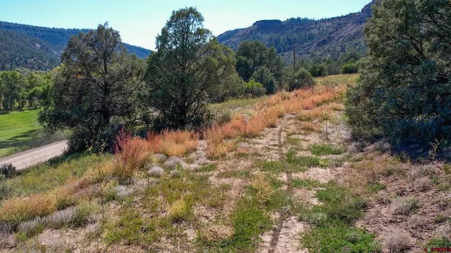 a view of a dry yard with mountains in the background