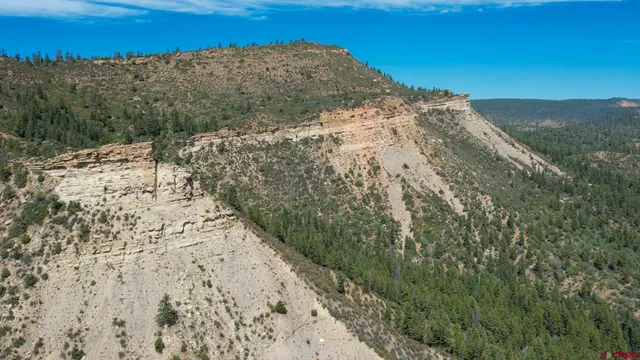 a view of a lush green hillside and a mountain