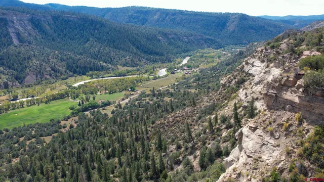 a view of a field with a tree