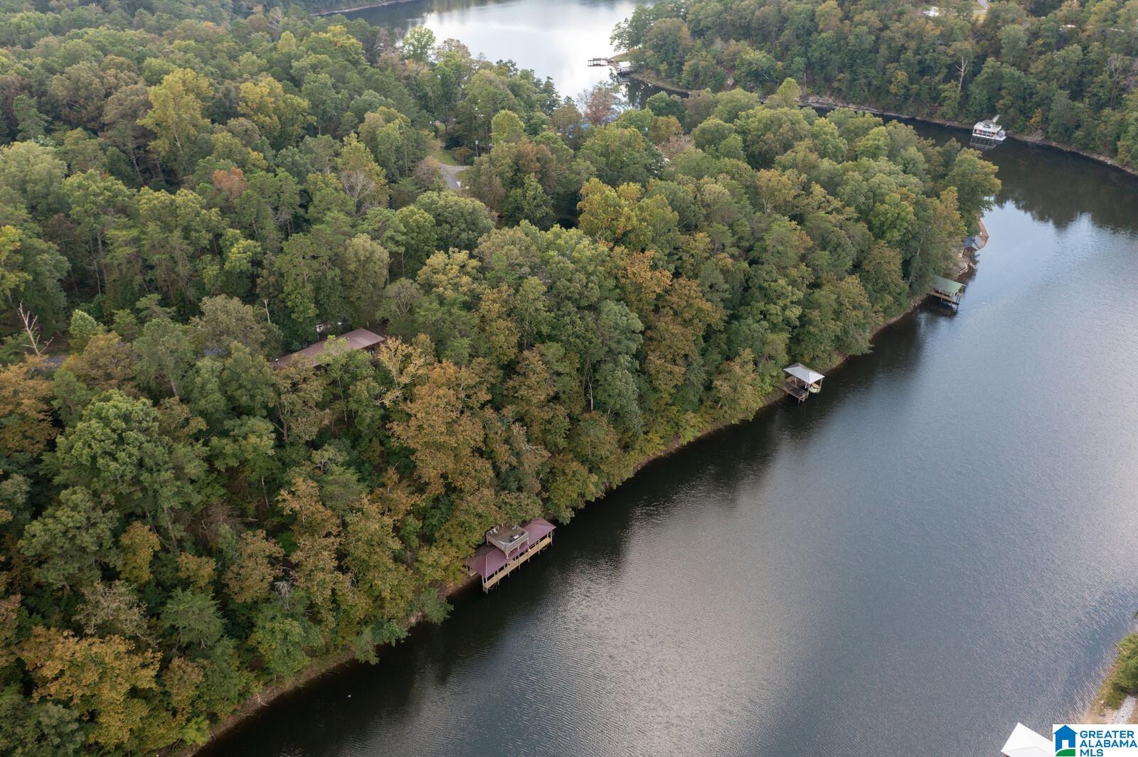205 West Sunset Boulevard Oneonta, AL 35121 - Photo 45 of 50