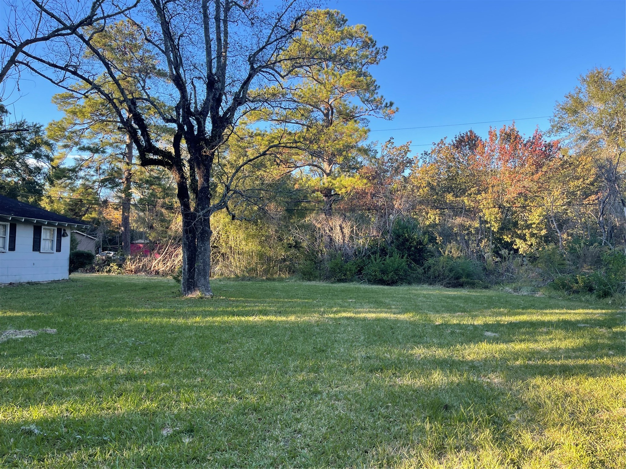 255 Frank Street, Unit AB Kountze, TX 77625 - Photo 20 of 33 a view of a trees in a yard