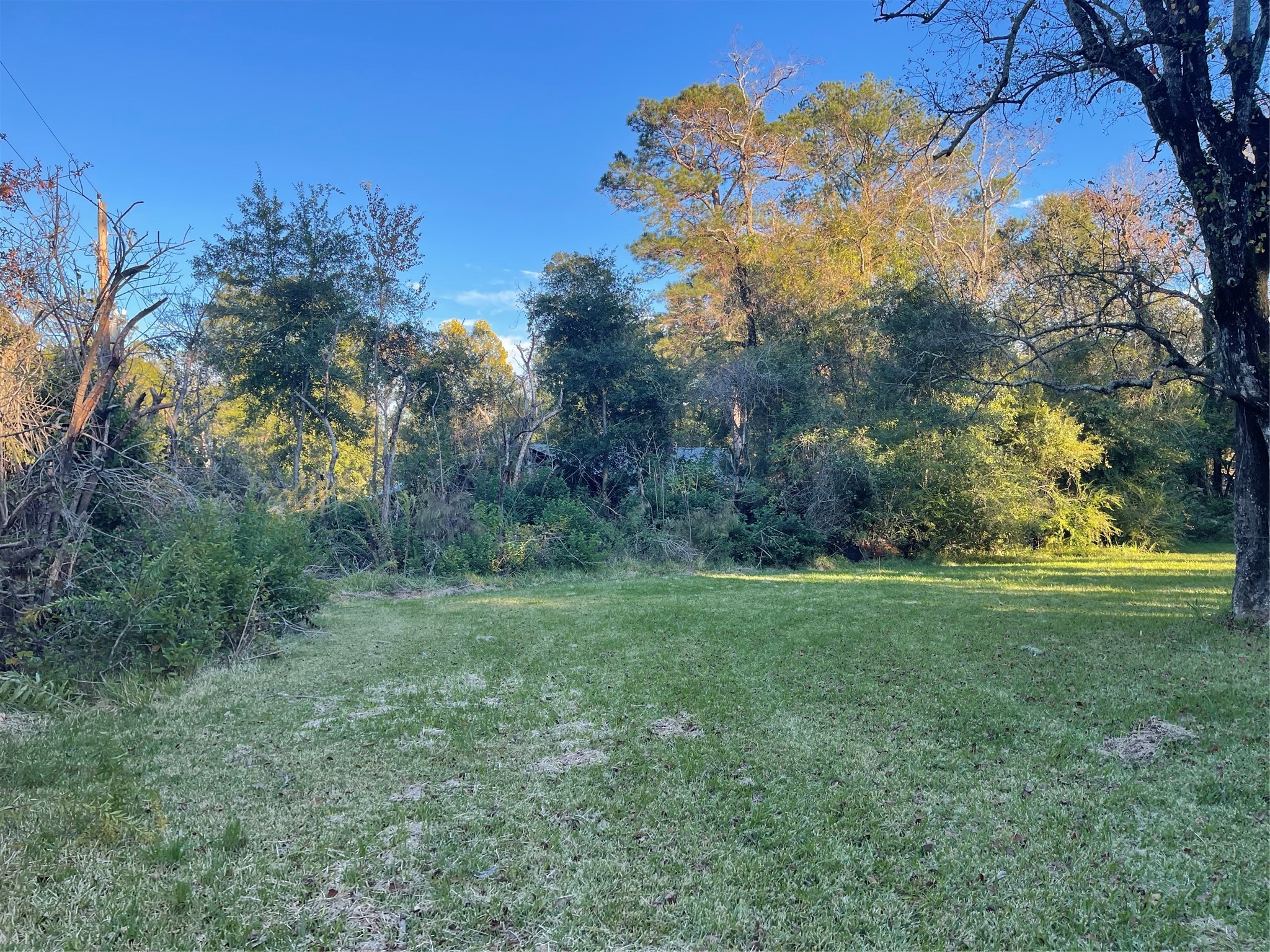 255 Frank Street, Unit AB Kountze, TX 77625 - Photo 22 of 33 a view of a field with an trees