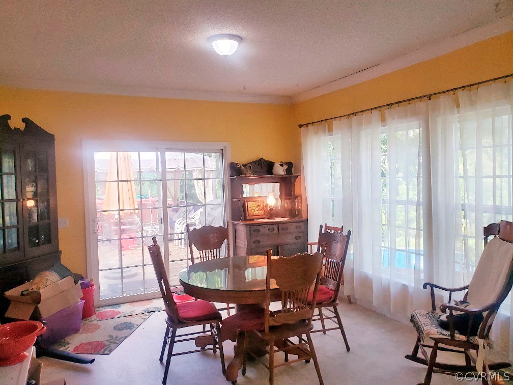 9785 Farmville Road Farmville, VA 23901 - Photo 10 of 49 Gallery Image 10