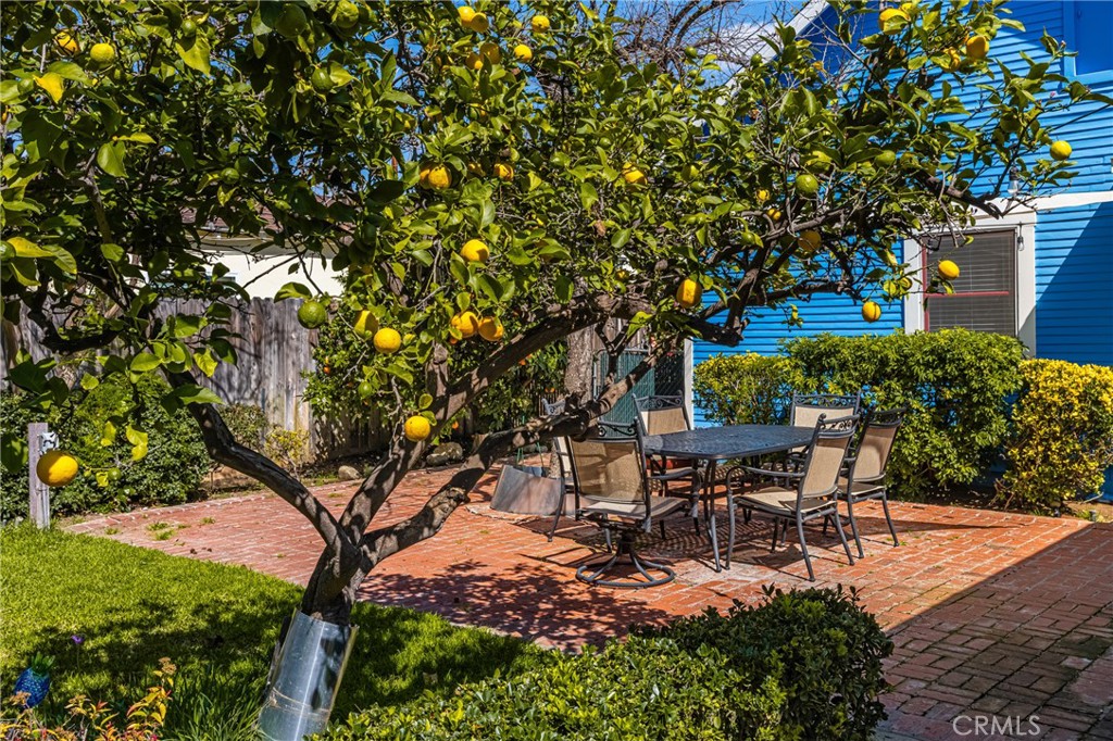 358 North Shaffer Street Orange, CA 92866 - Photo 44 of 45 a view of a backyard with table and chairs and a large tree